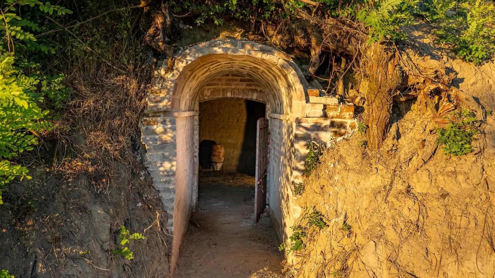 Farm stay Podere Grotta Antica Chiusi