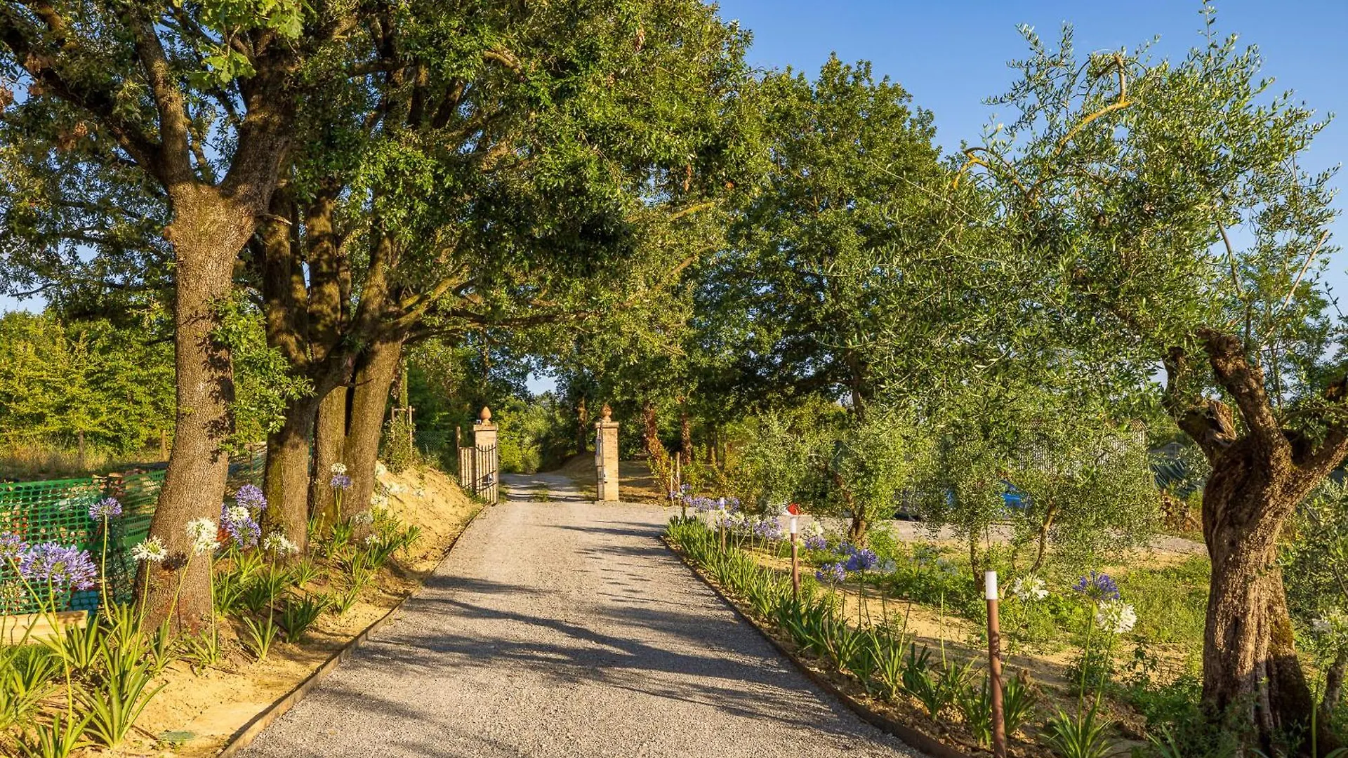 Podere Grotta Antica Chiusi 0*,