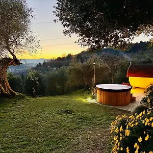 Farm stay Montebello Degli Olivi, Chiusi